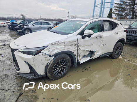 Lexus NX 2025 - Image 1 of 14
