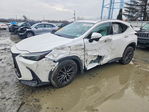 Lexus NX 2025