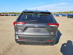 Toyota RAV 4 2023