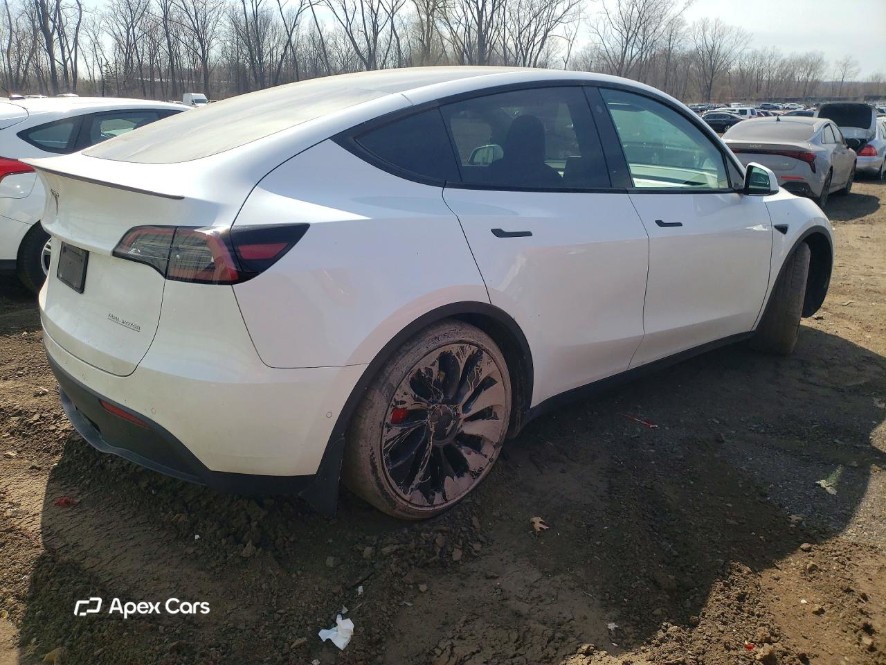 Tesla Model Y 2022