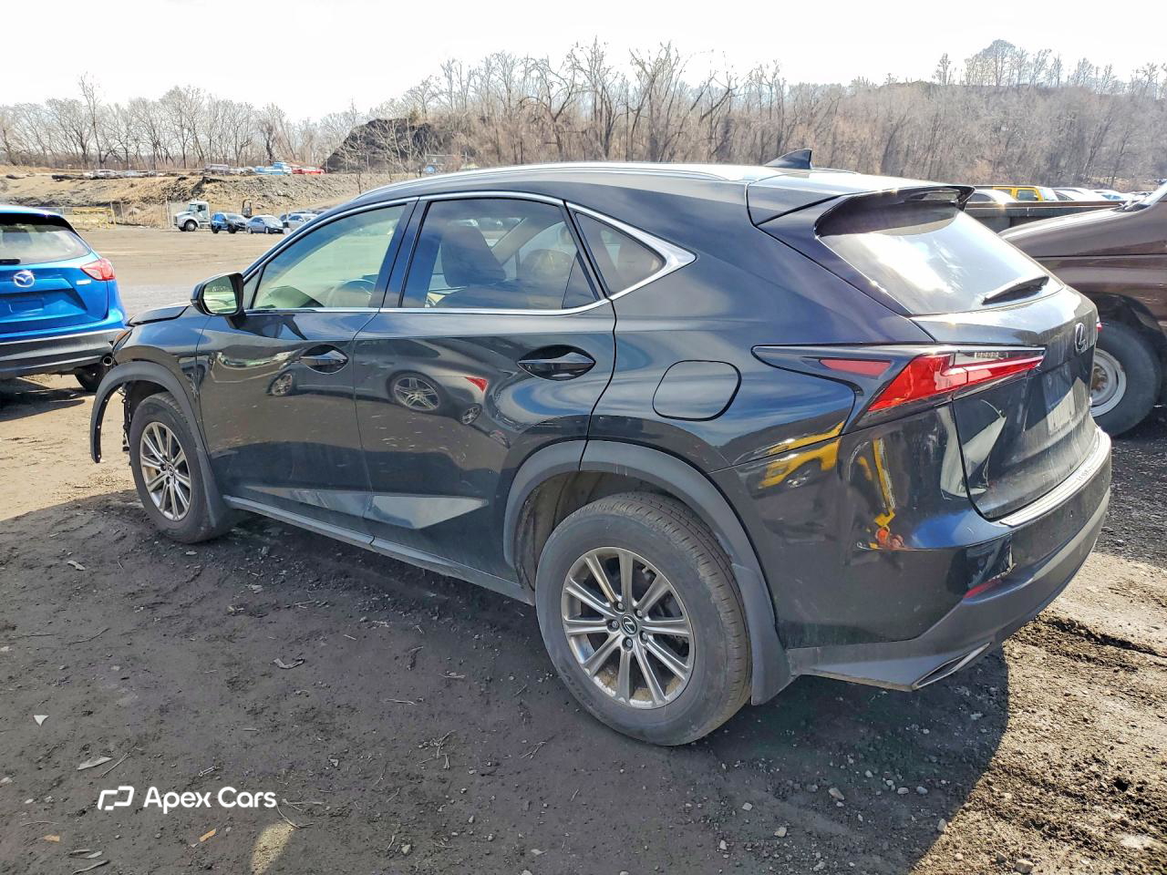 Lexus NX 2021