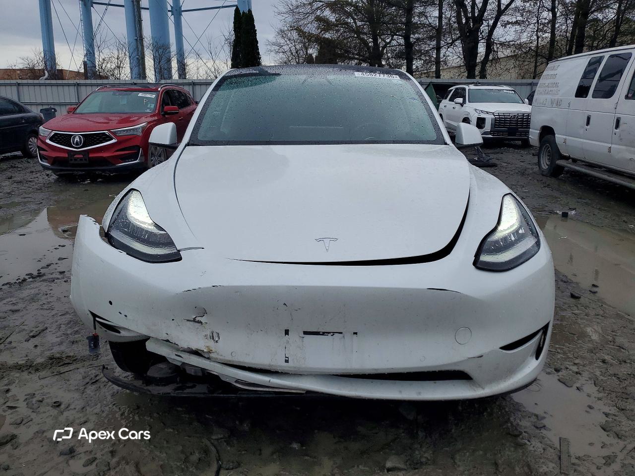 Tesla Model Y 2021