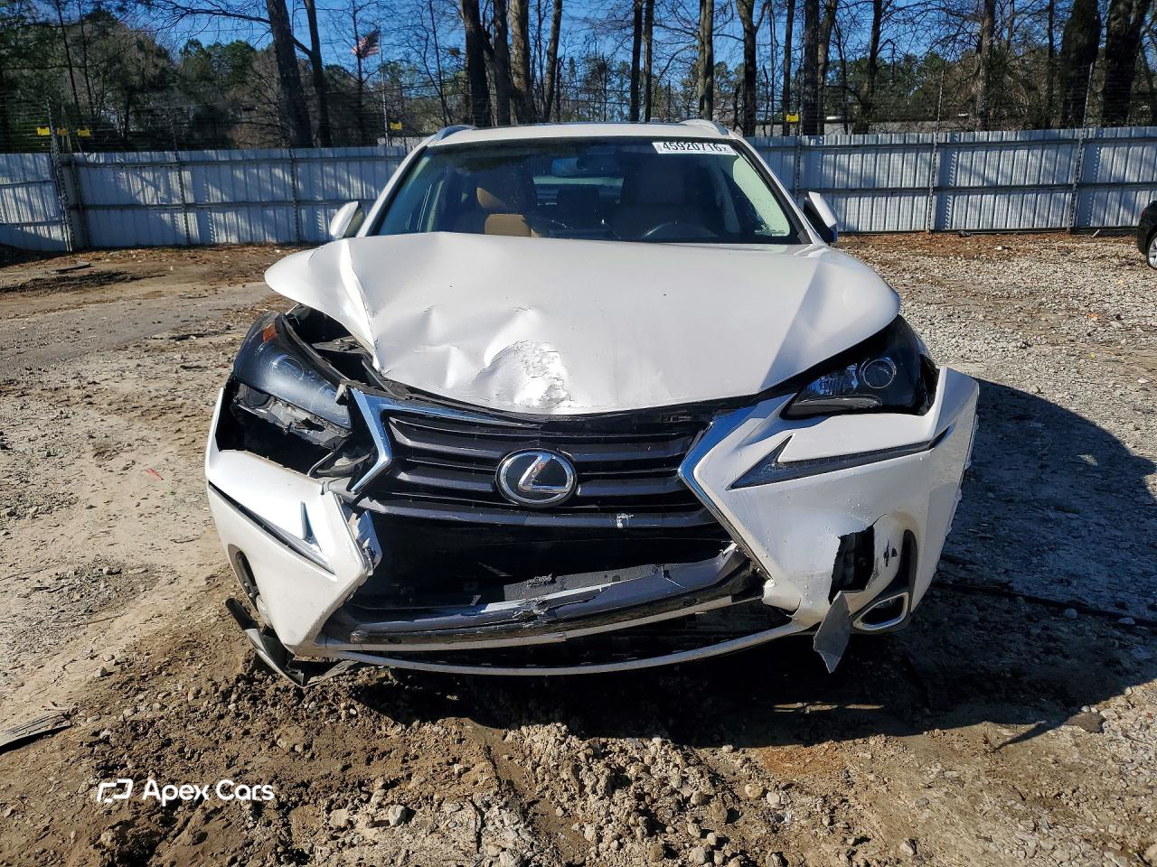 Lexus NX 2017