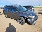 Toyota RAV 4 2016