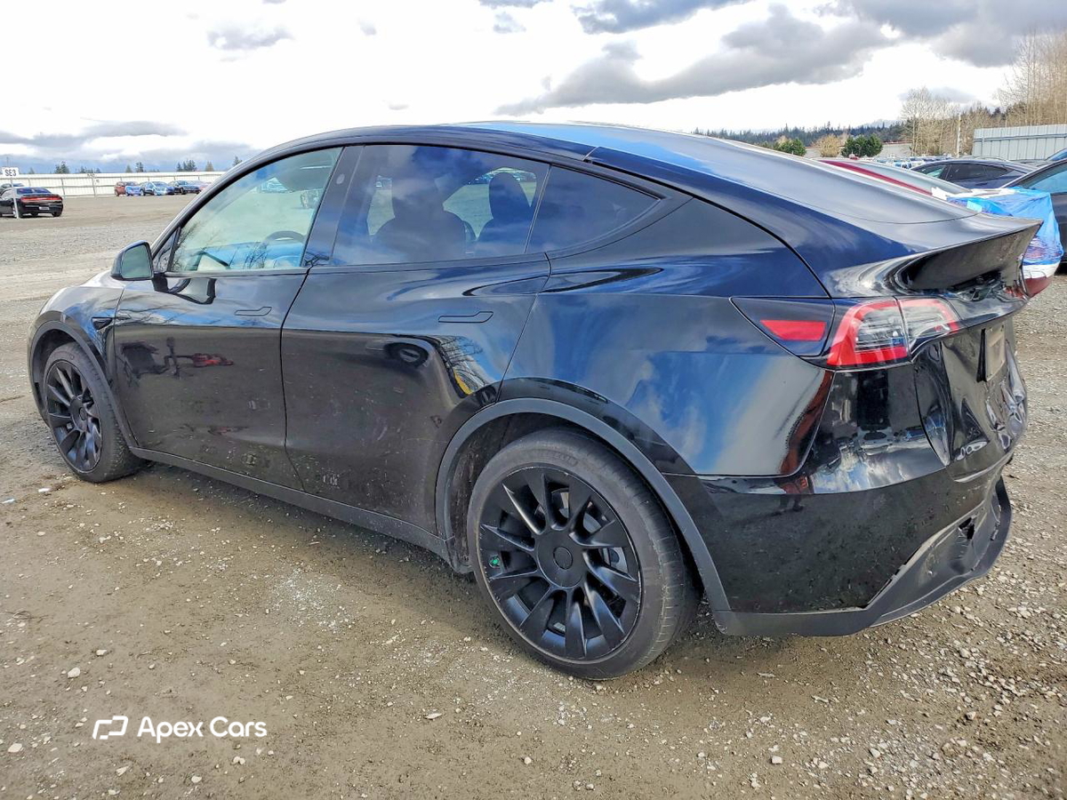 Tesla Model Y 2024