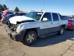 Avalanche 2006