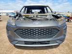 Ford Escape 2020