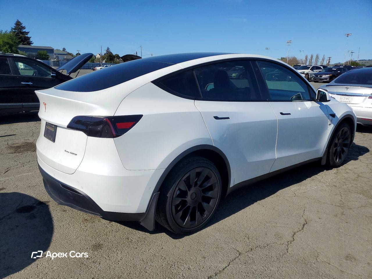 Tesla Model Y 2021