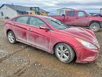 Hyundai Sonata 2013