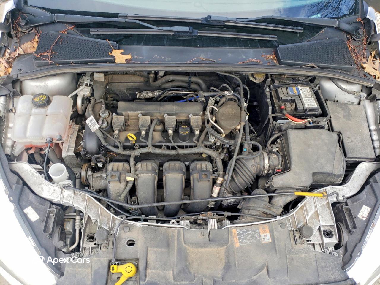 Ford Focus 2016