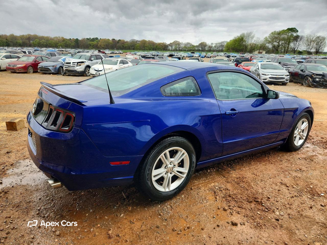Ford Mustang 2013