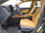 Lexus NX 2025