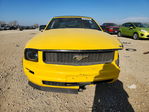 Ford Mustang 2005