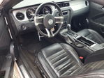 Ford Mustang 2013