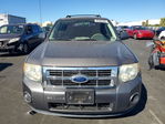 Ford Escape 2012