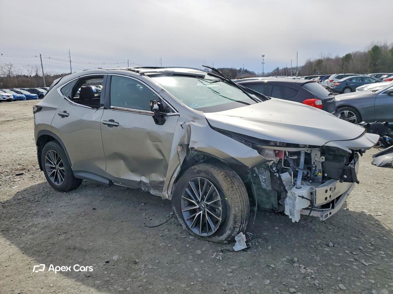 Lexus NX 2024