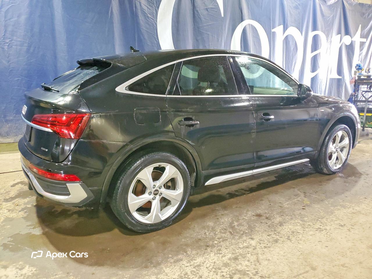Audi Q5 2023