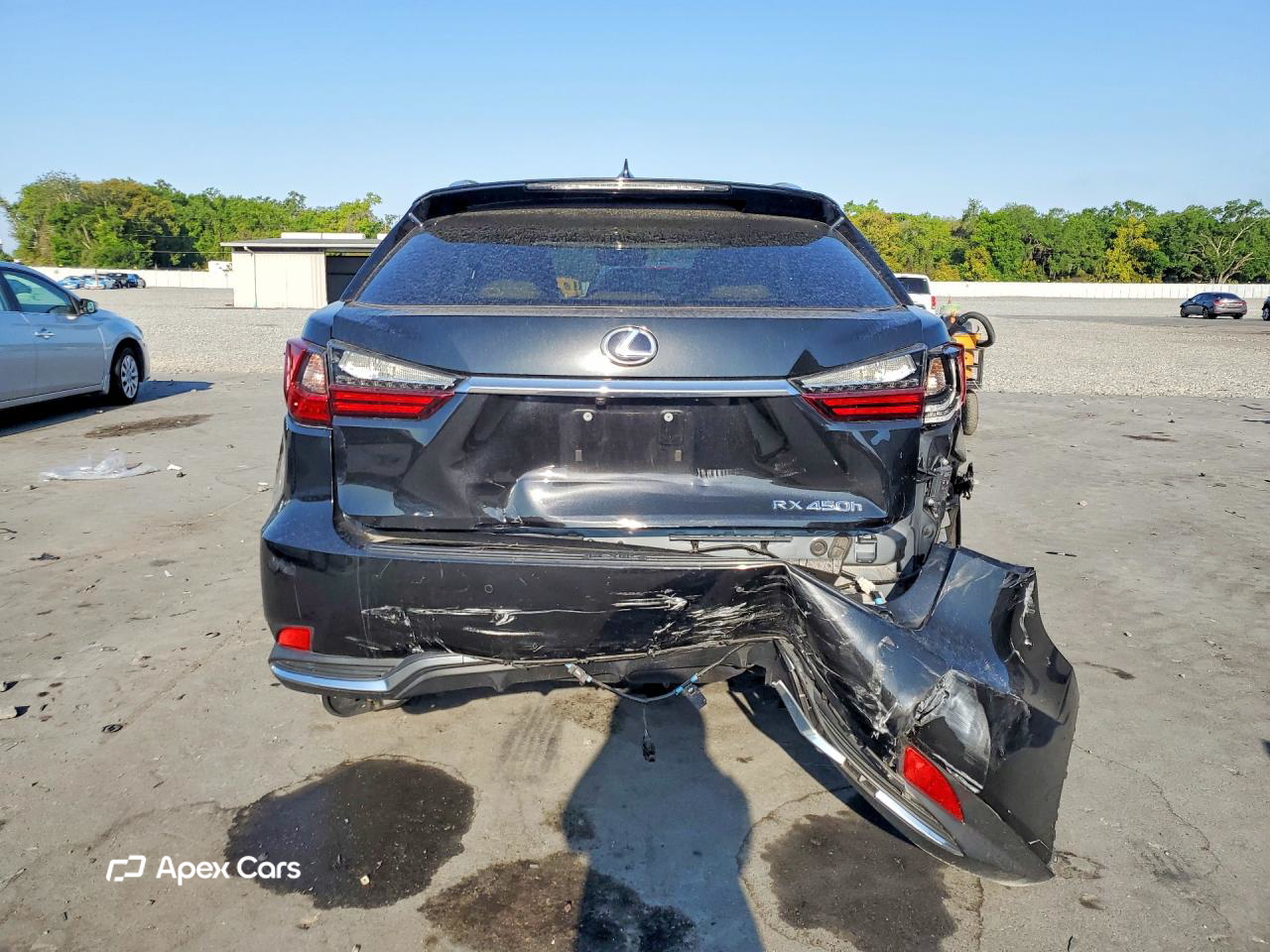 Lexus RX 2020