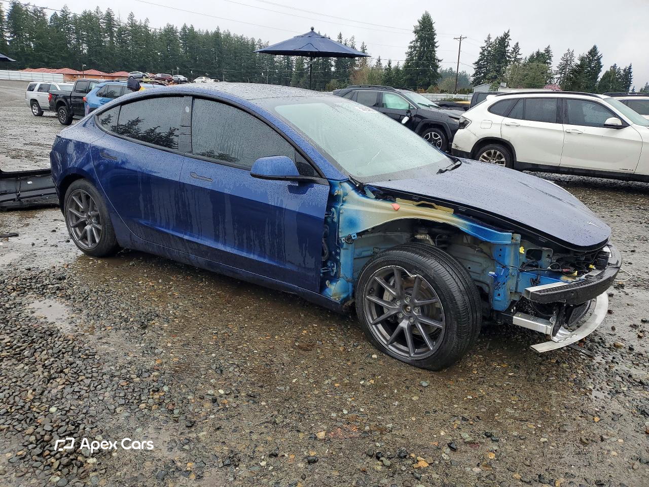 Tesla Model 3 2021