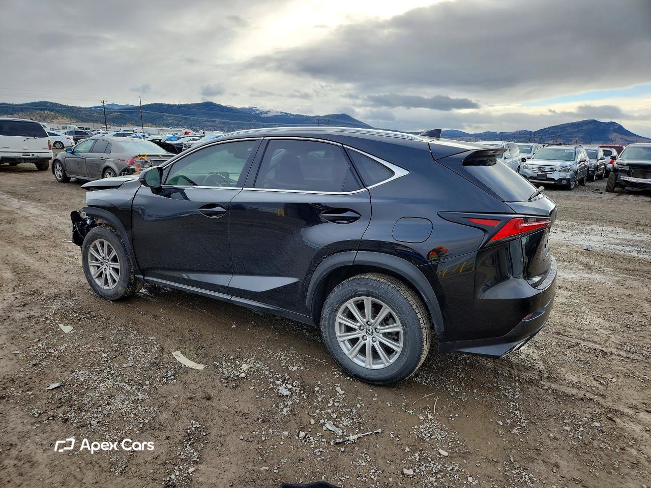 Lexus NX 2018
