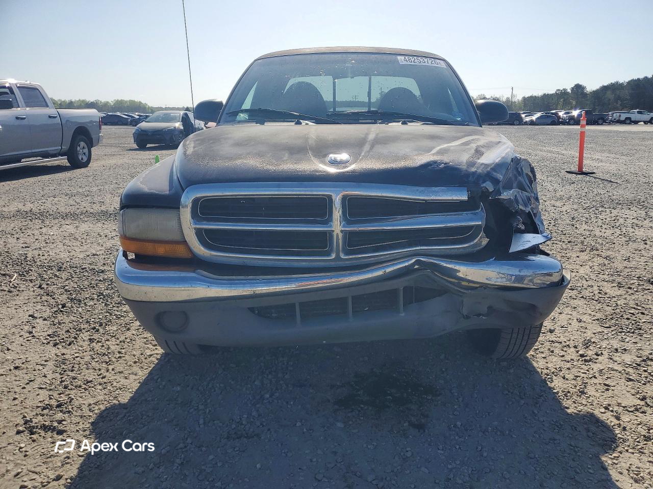 Dodge Dakota 1999