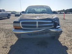 Dodge Dakota 1999