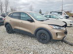Ford Escape 2020