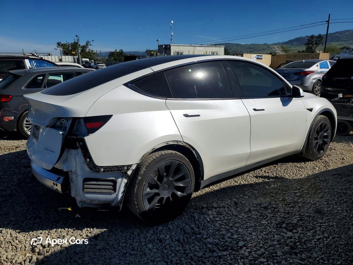 Tesla Model Y 2021