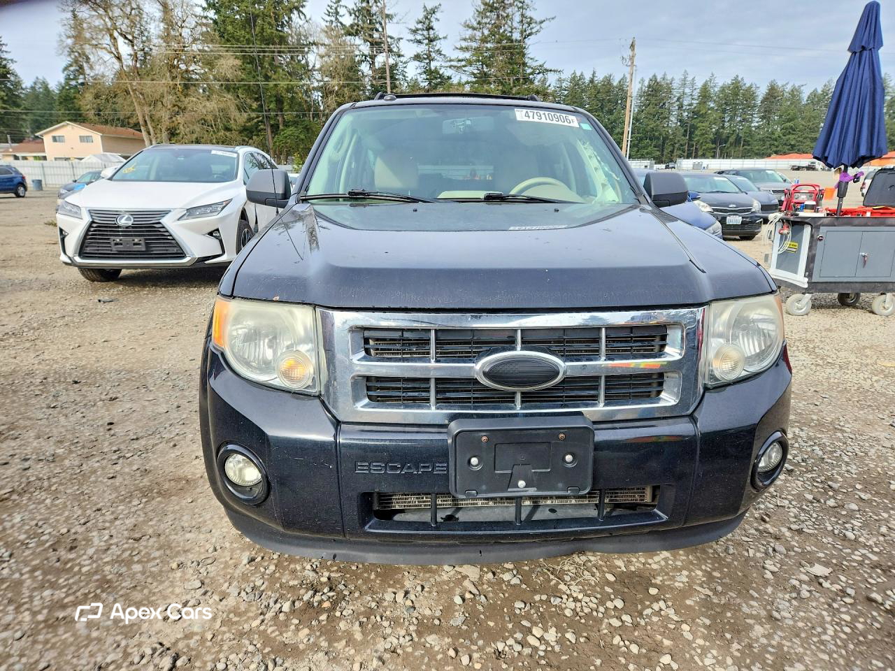 Ford Escape 2010