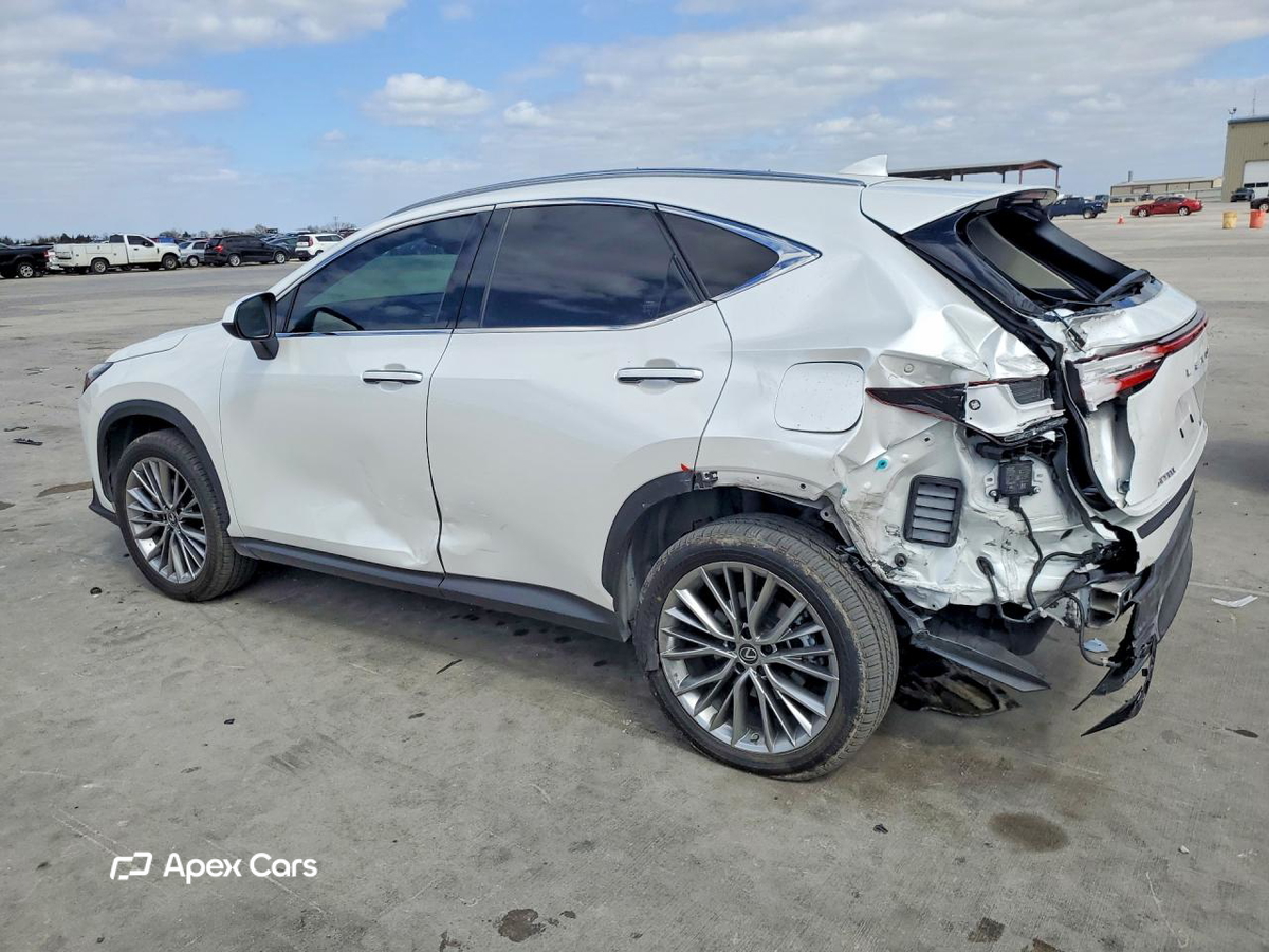 Lexus NX 2023