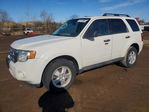 Ford Escape 2009