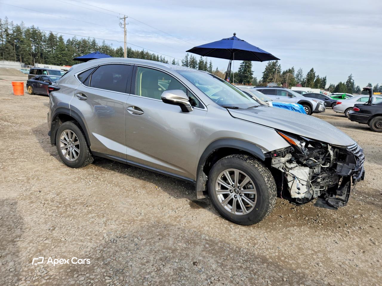 Lexus NX 2021