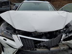 Lexus RX 2017