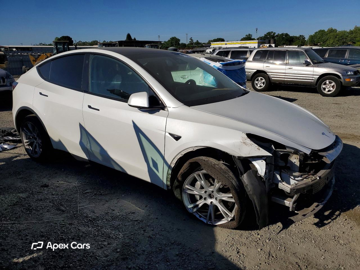 Tesla Model Y 2021