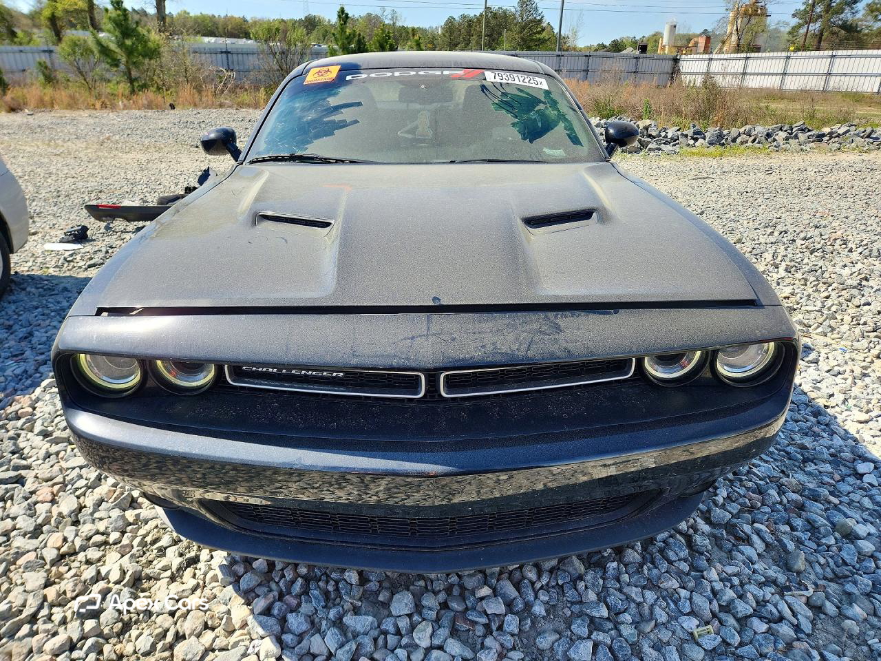 Dodge Challenger 2019