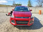 Ford Escape 2013