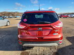 Ford Escape 2014