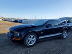 Ford Mustang 2009