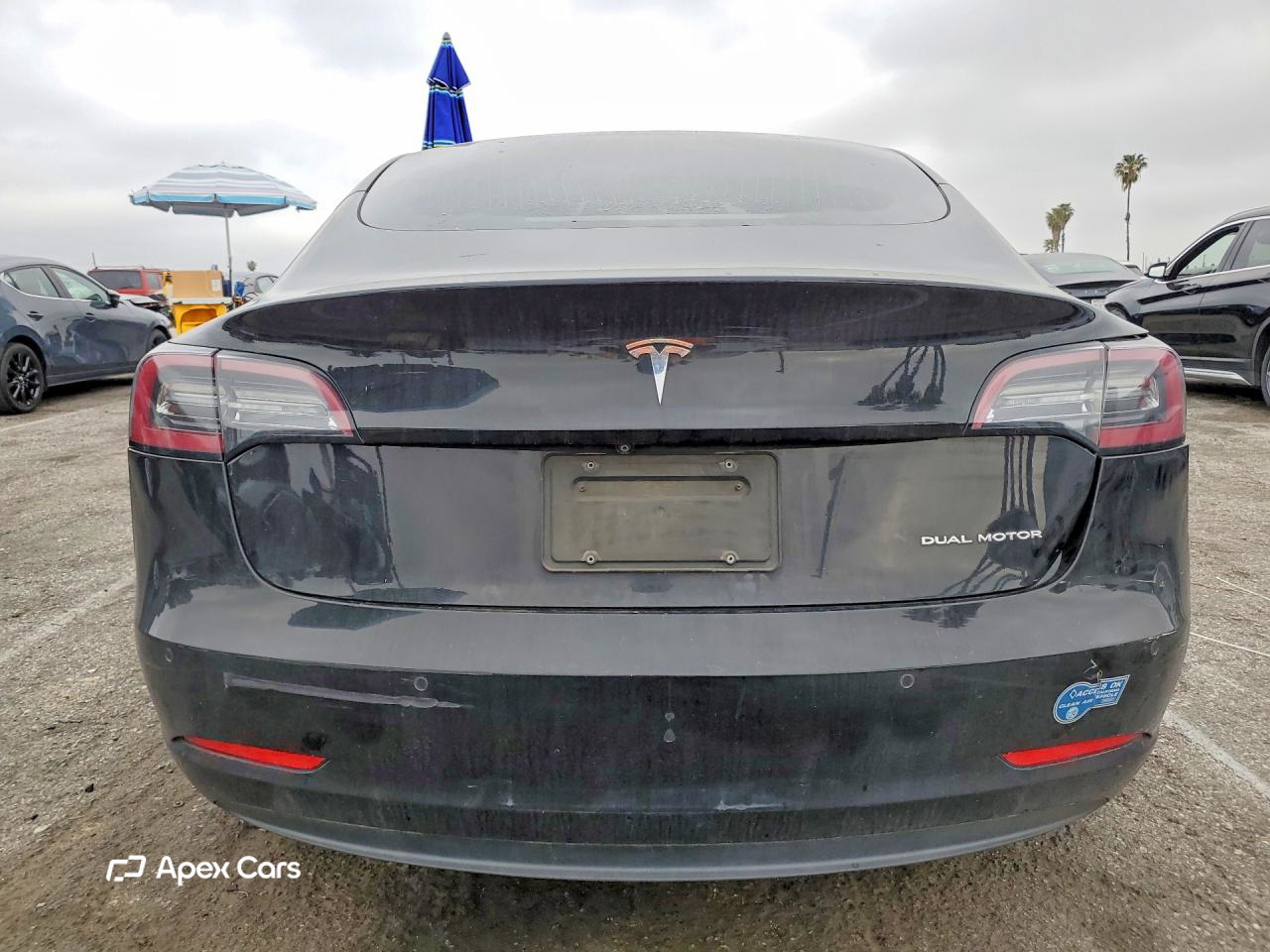 Tesla Model 3 2019