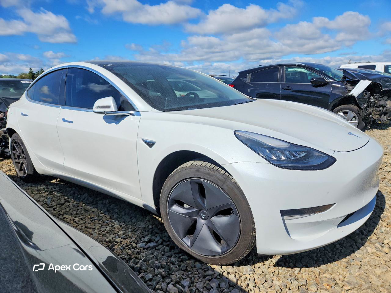 Tesla Model 3 2019