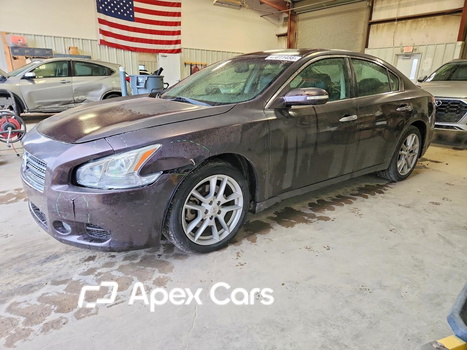 Nissan Maxima 2010 - Image 1 of 12