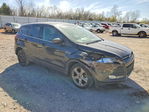 Ford Escape 2015
