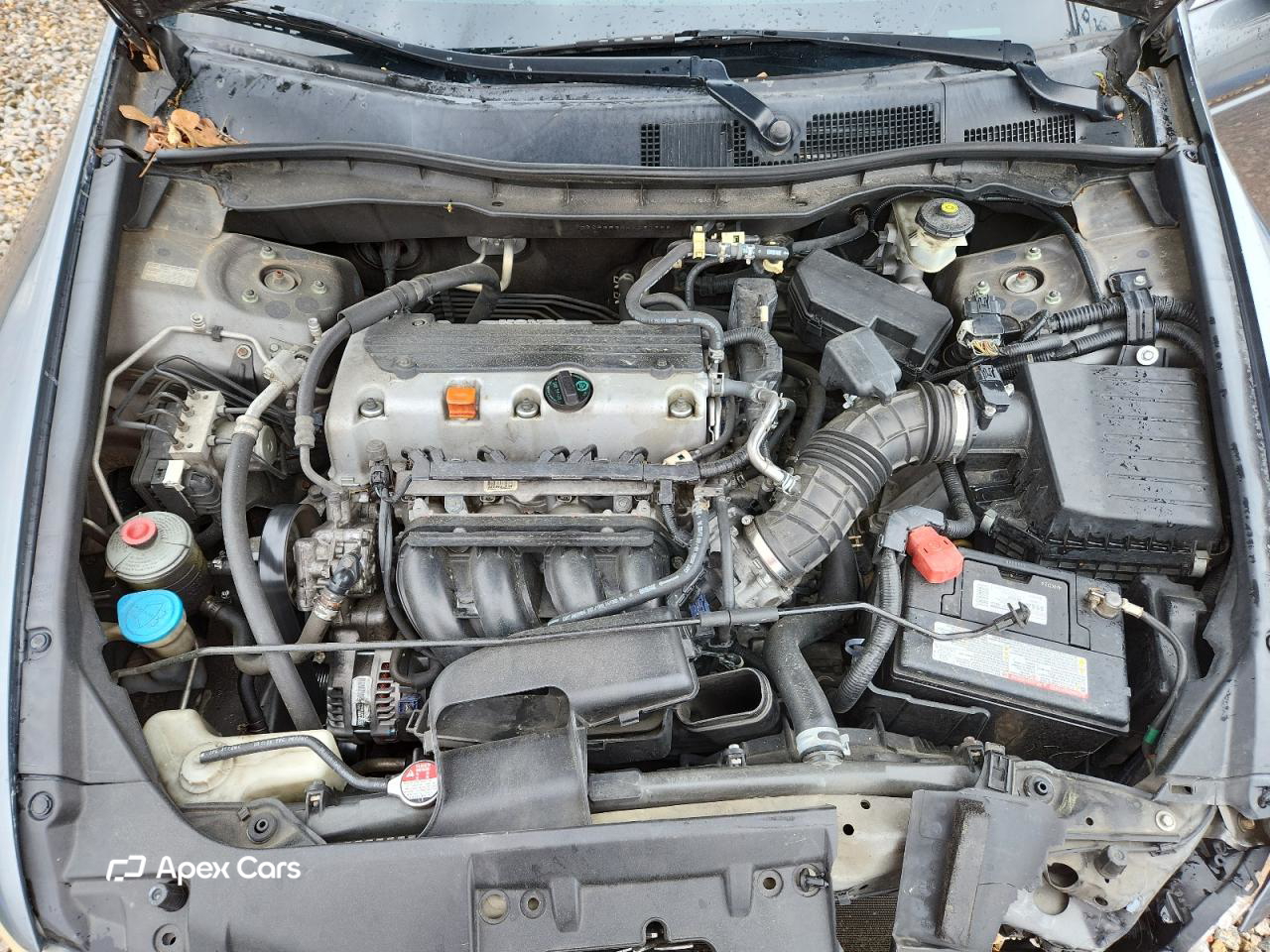 Honda Accord 2010