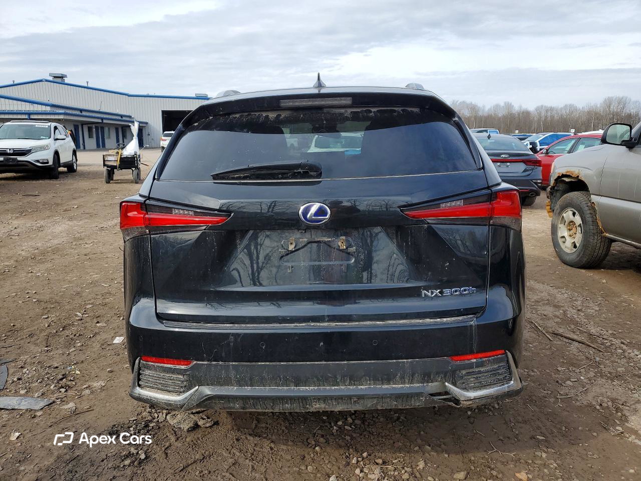 Lexus NX 2021