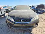 Honda Accord 2013