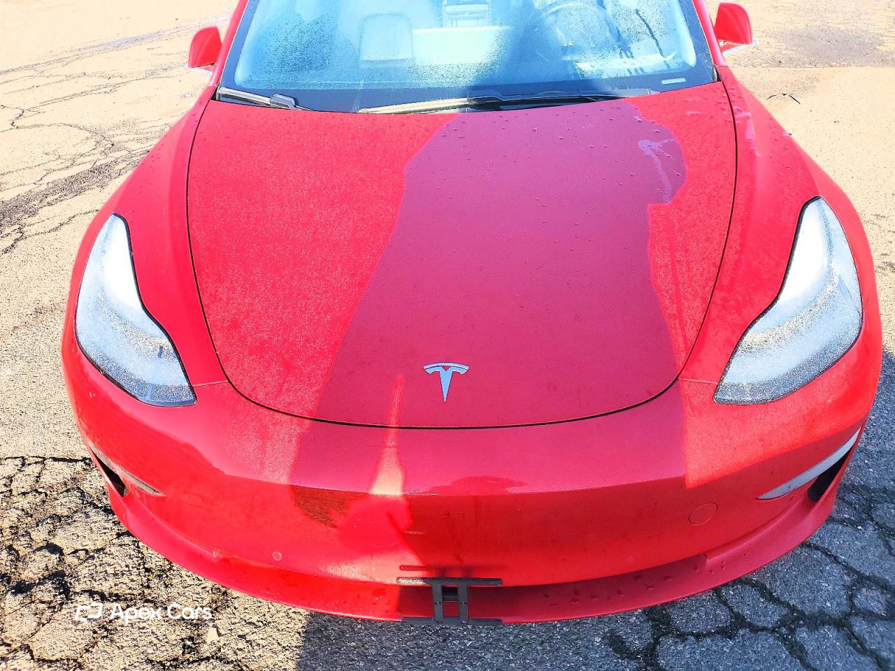 Tesla Model 3 2019