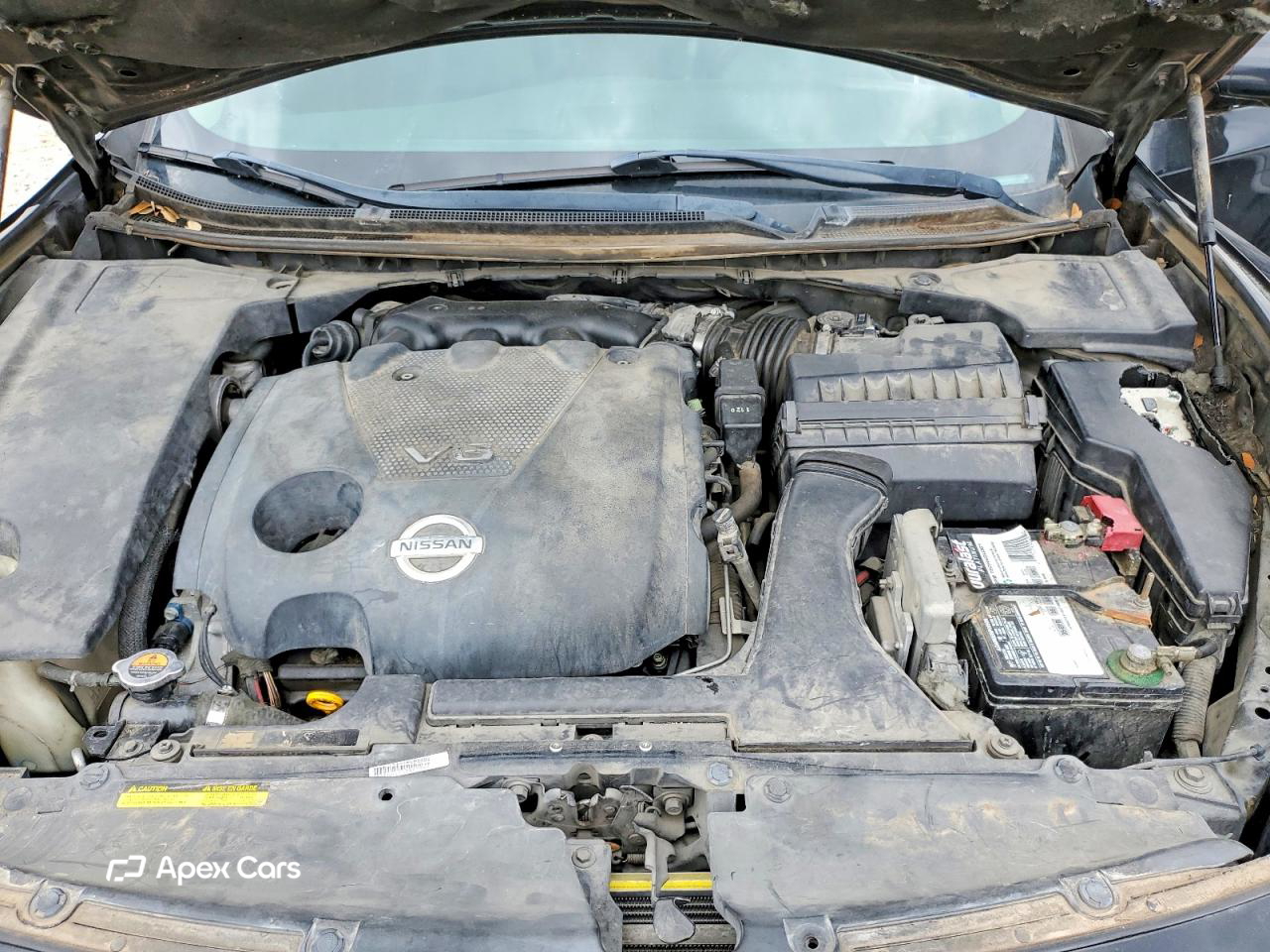 Nissan Maxima 2011