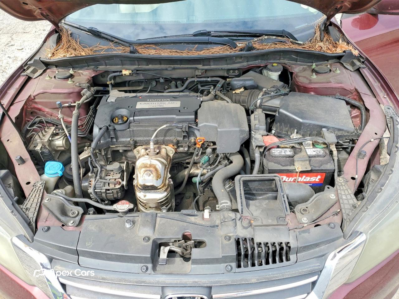 Honda Accord 2013
