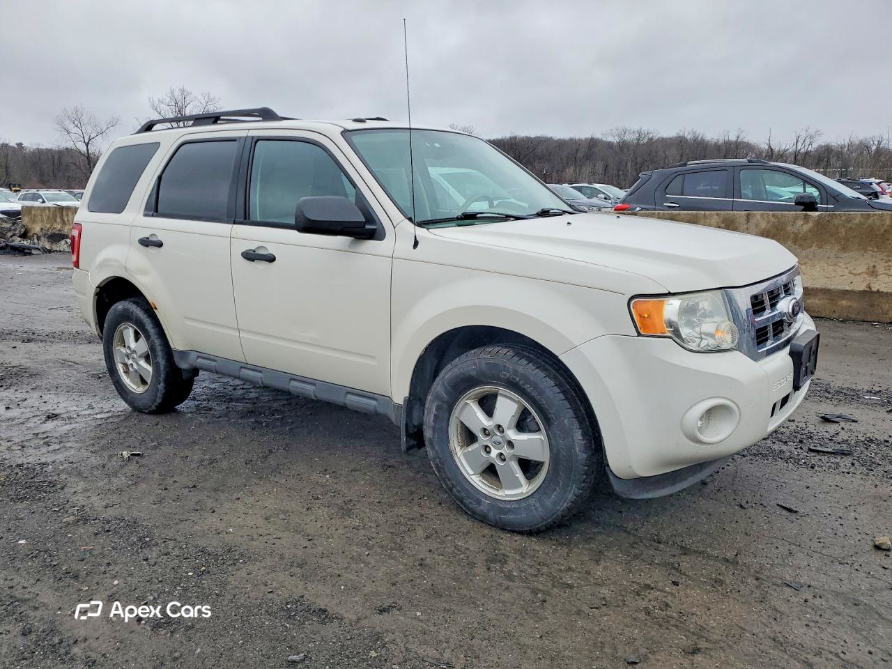 Ford Escape 2010