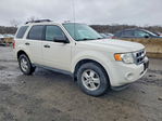 Ford Escape 2010